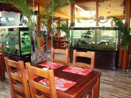Năvodari Hotel La Scoica Land מראה חיצוני תמונה